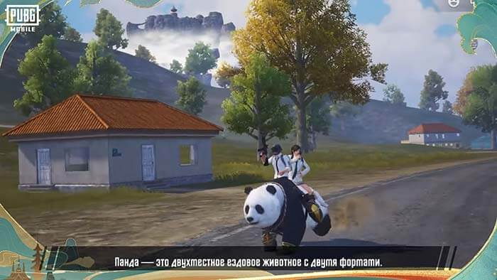 PUBG Mobile 3.6 - Панда